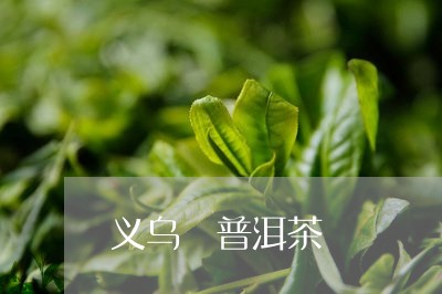 义乌 普洱茶/2023042872559